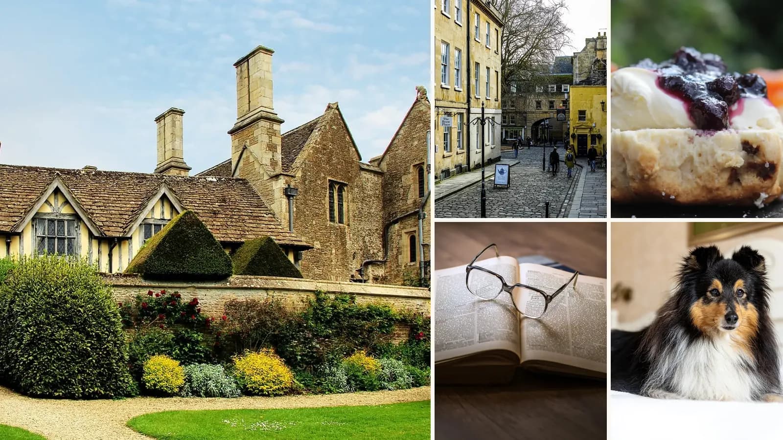 Collage: An English country house, A street of Georgian houses in Bath, Scones with jam and cream, A guidebook and glasses, A dog resting on a bed