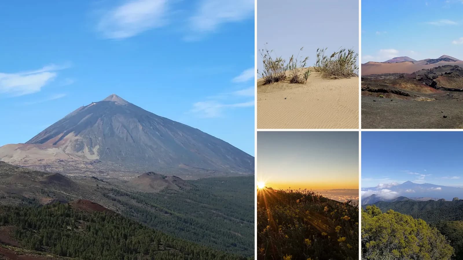 Collage: Mount Teide on Tenerife, The Maspalomas dunes on Gran Canaria, Volcanic landscape of Timanfaya, Lanzarote, La Palma's green volcanic ridges, Laurel forest in Garajonay National Park, La Gomera