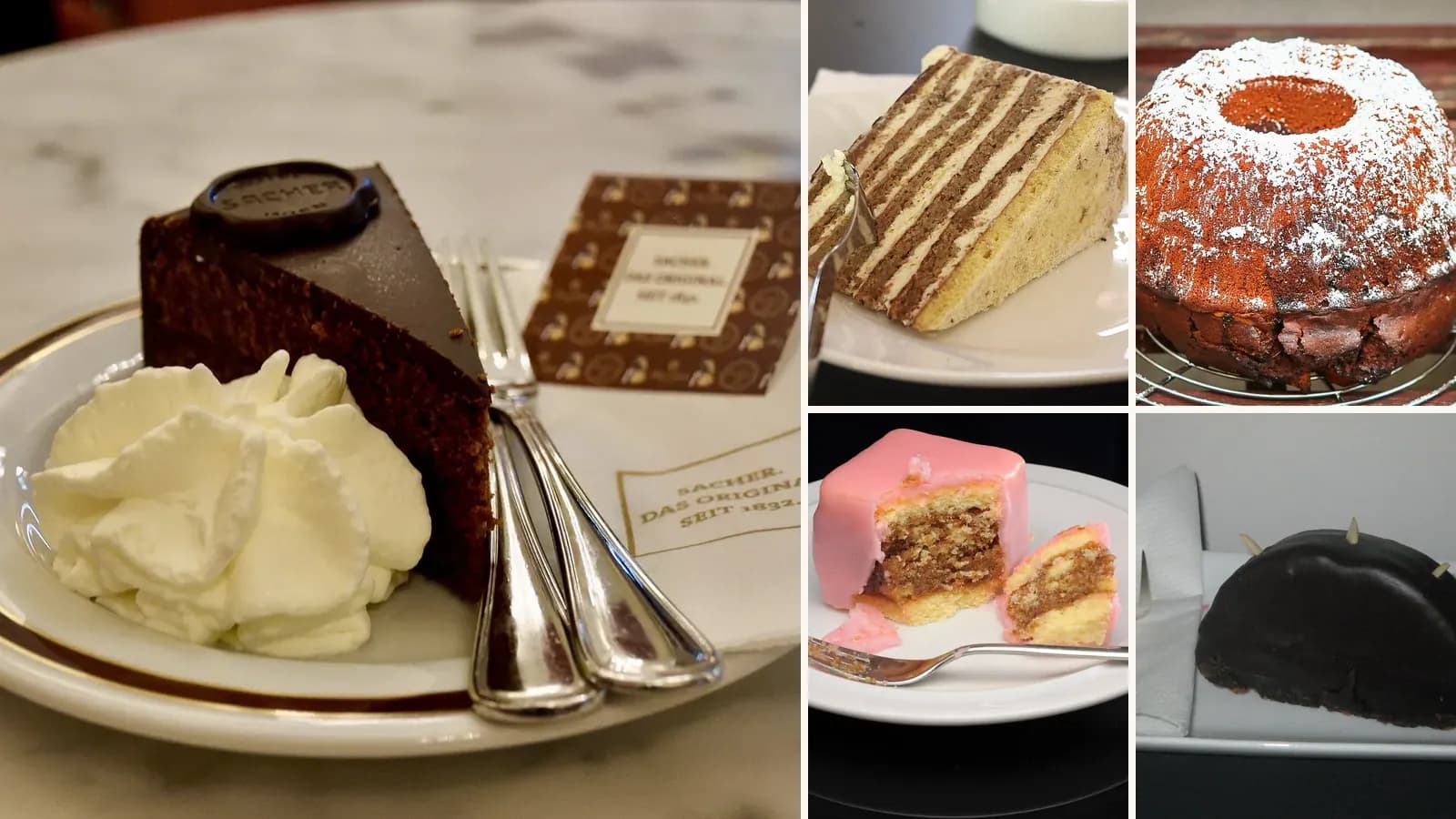 Collage: A slice of Sachertorte with whipped cream in Vienna, A slice of Esterhazy Torte with its feathered icing, A Gugelhupf dusted with icing sugar, A Punschkrapfen cut open to show its layers, A Rehruecken chocolate cake baked in a ridg