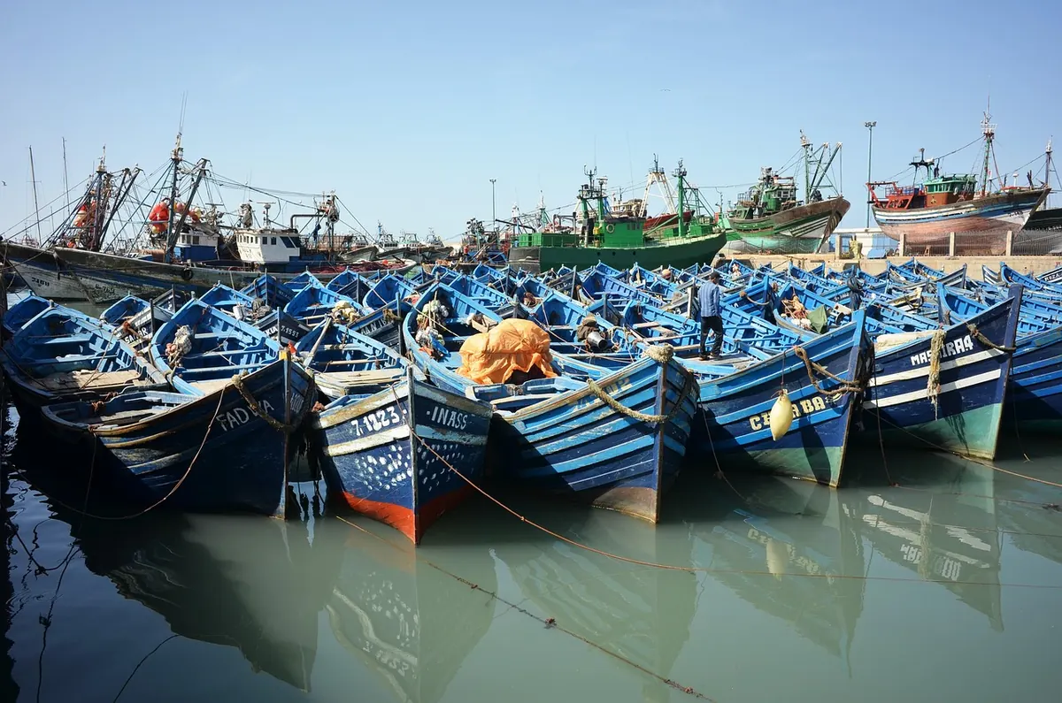 Blue fishing boats in Essaouira's port