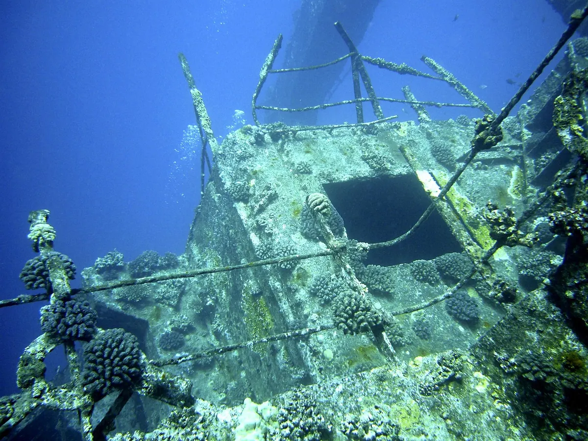 A diver exploring a wreck