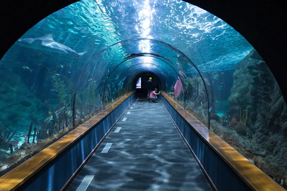 Ein begehbarer Tunnel in einem großen Aquarium