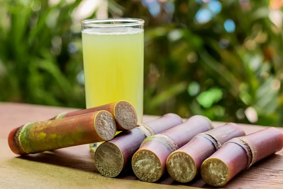 A glass of fresh sugarcane juice