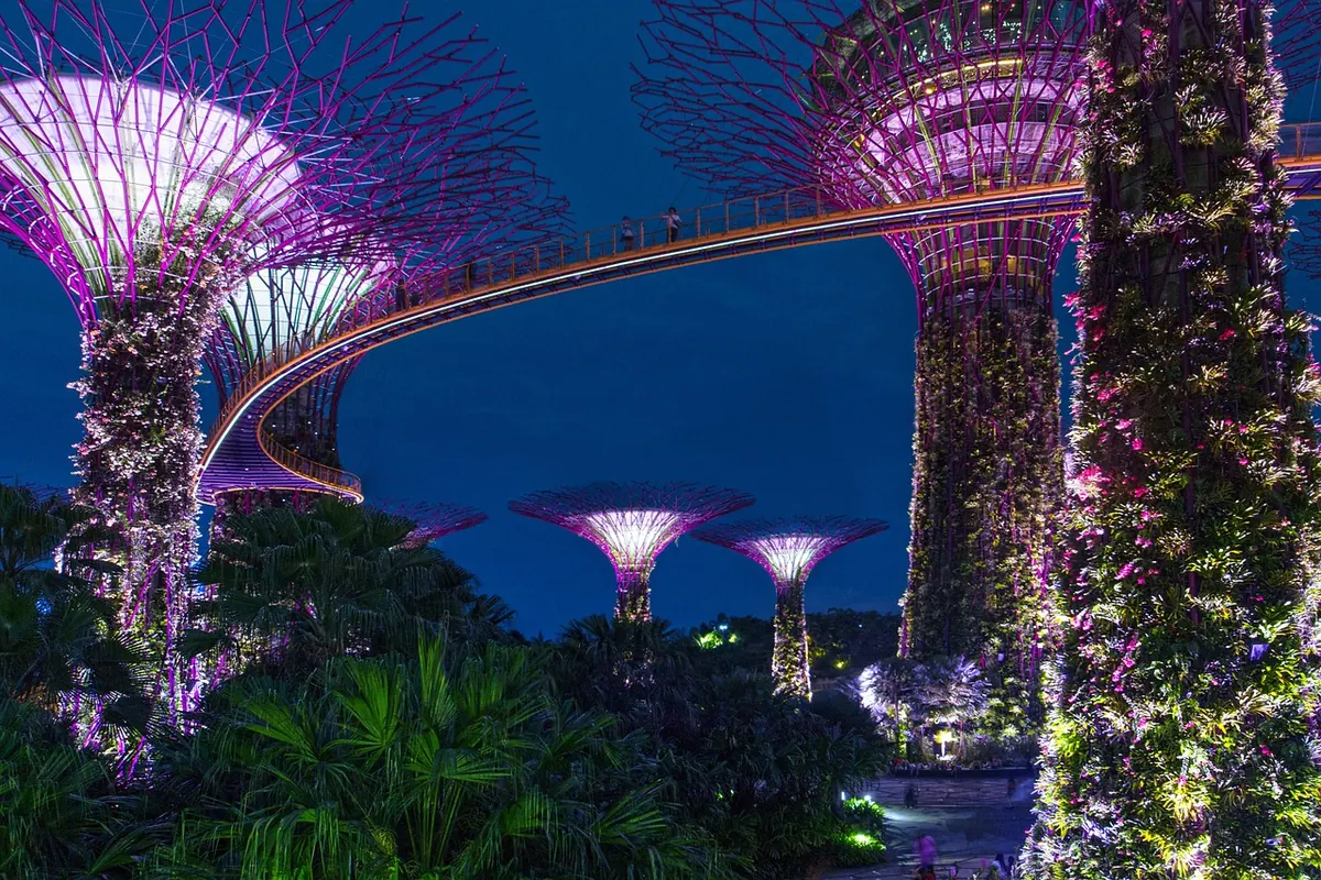 The Supertree Grove at Gardens by the Bay