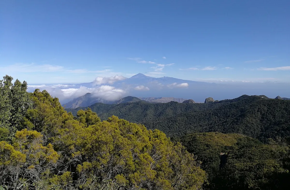 Garajonay National Park, La Gomera