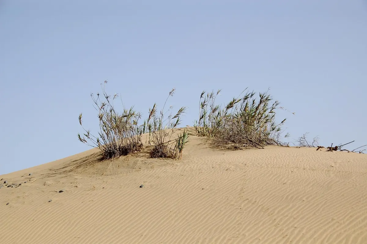 The Maspalomas dunes on Gran Canaria