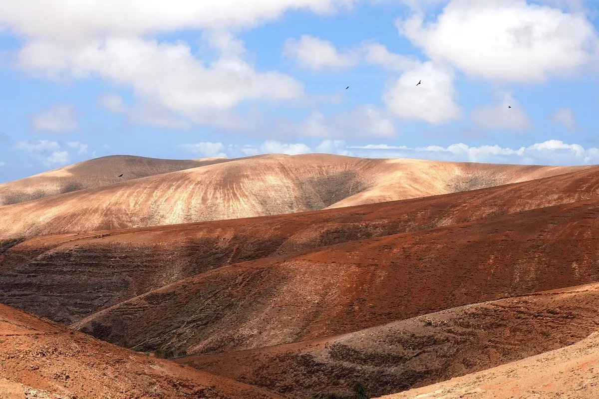 Bare volcanic mountains on Fuerteventura