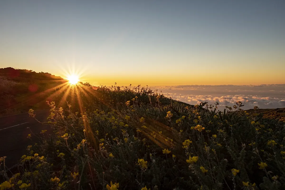 La Palma's green volcanic ridges