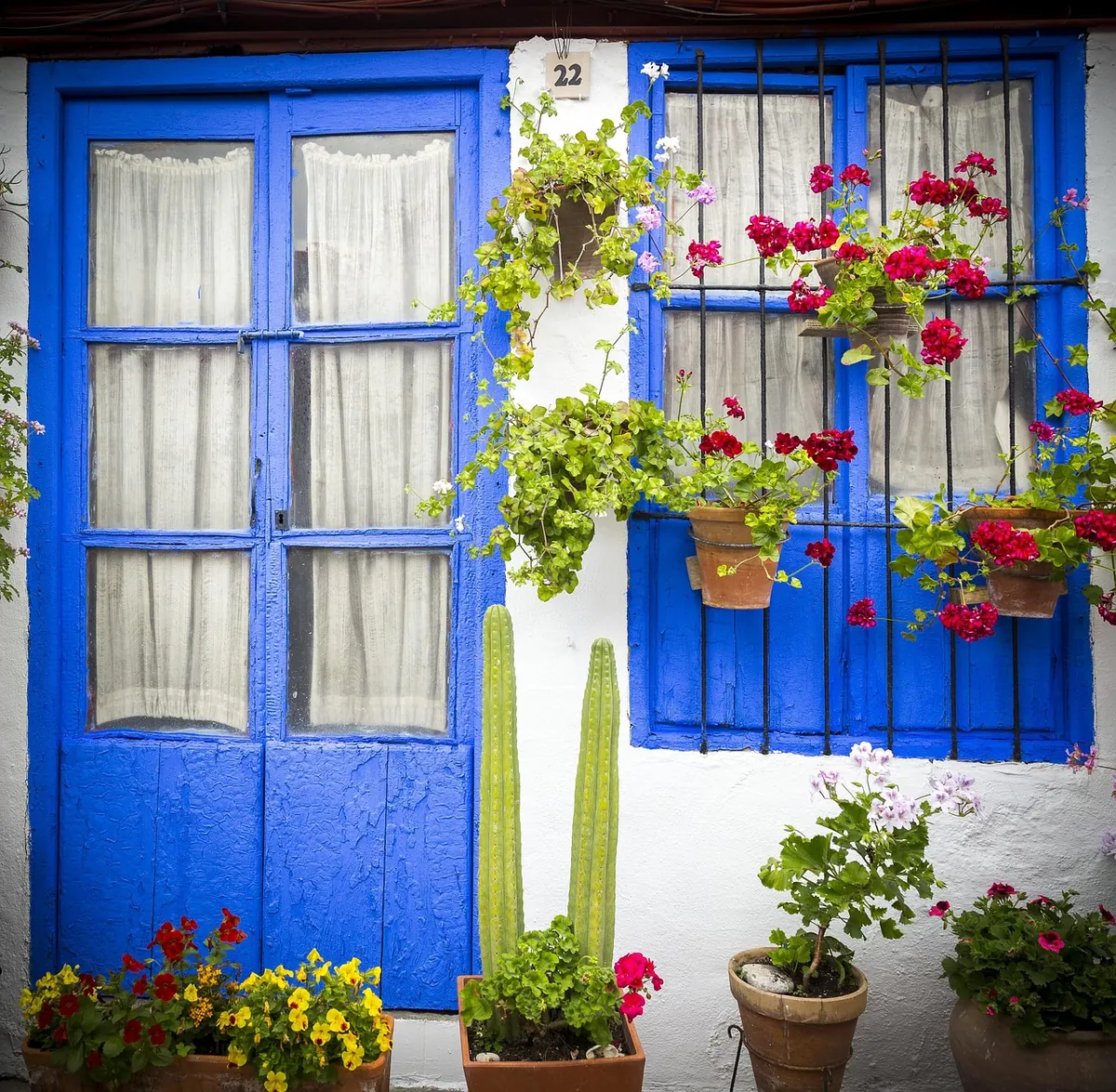 Flowerpots on a courtyard wall in Córdoba