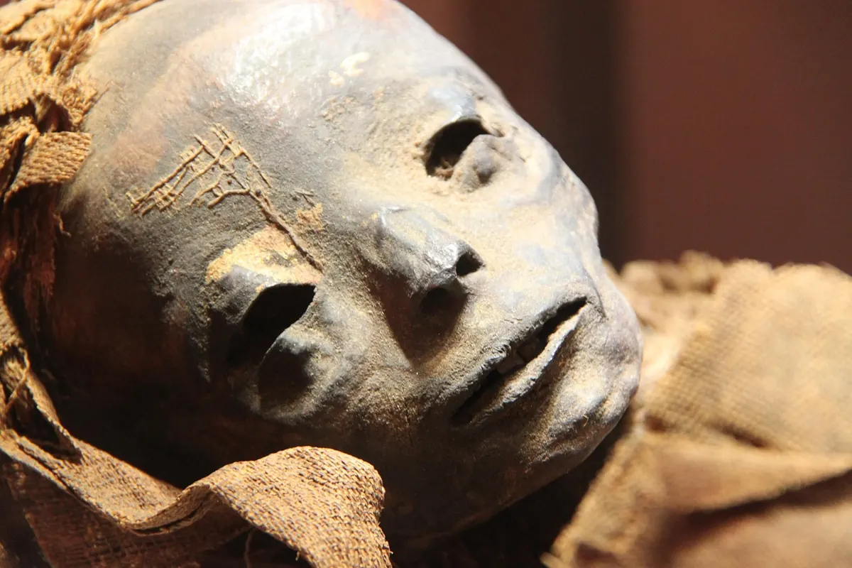 An ancient Egyptian mummy in a museum