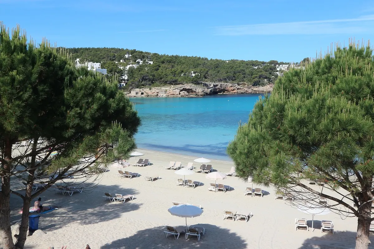 A pine-fringed cove near Portinatx, Ibiza