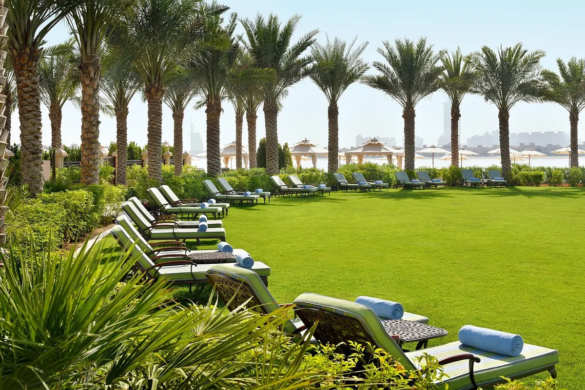 Sun loungers on the lawn of a beachfront resort