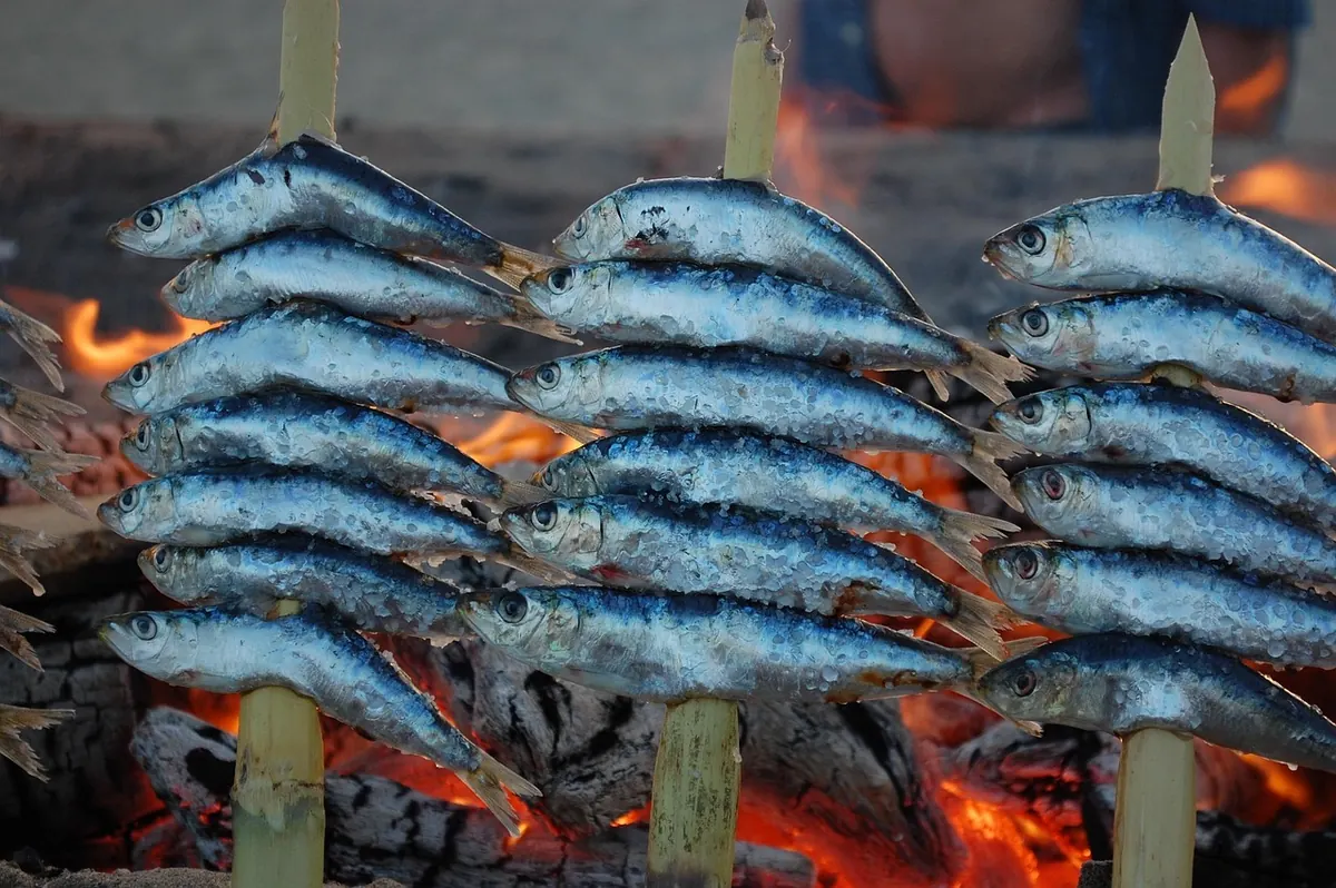 Sardines grilling over a fire on the Costa del Sol