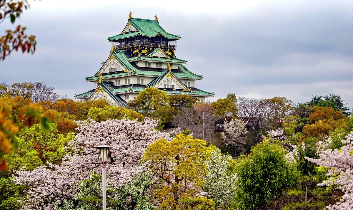 Osaka Castle above cherry trees