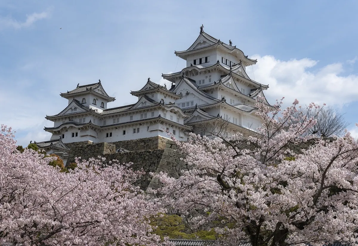 Himeji Castle in cherry blossom season