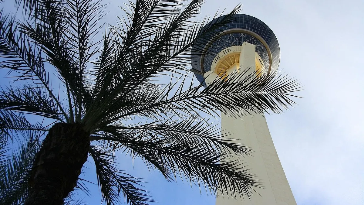 The STRAT tower rising above palm trees