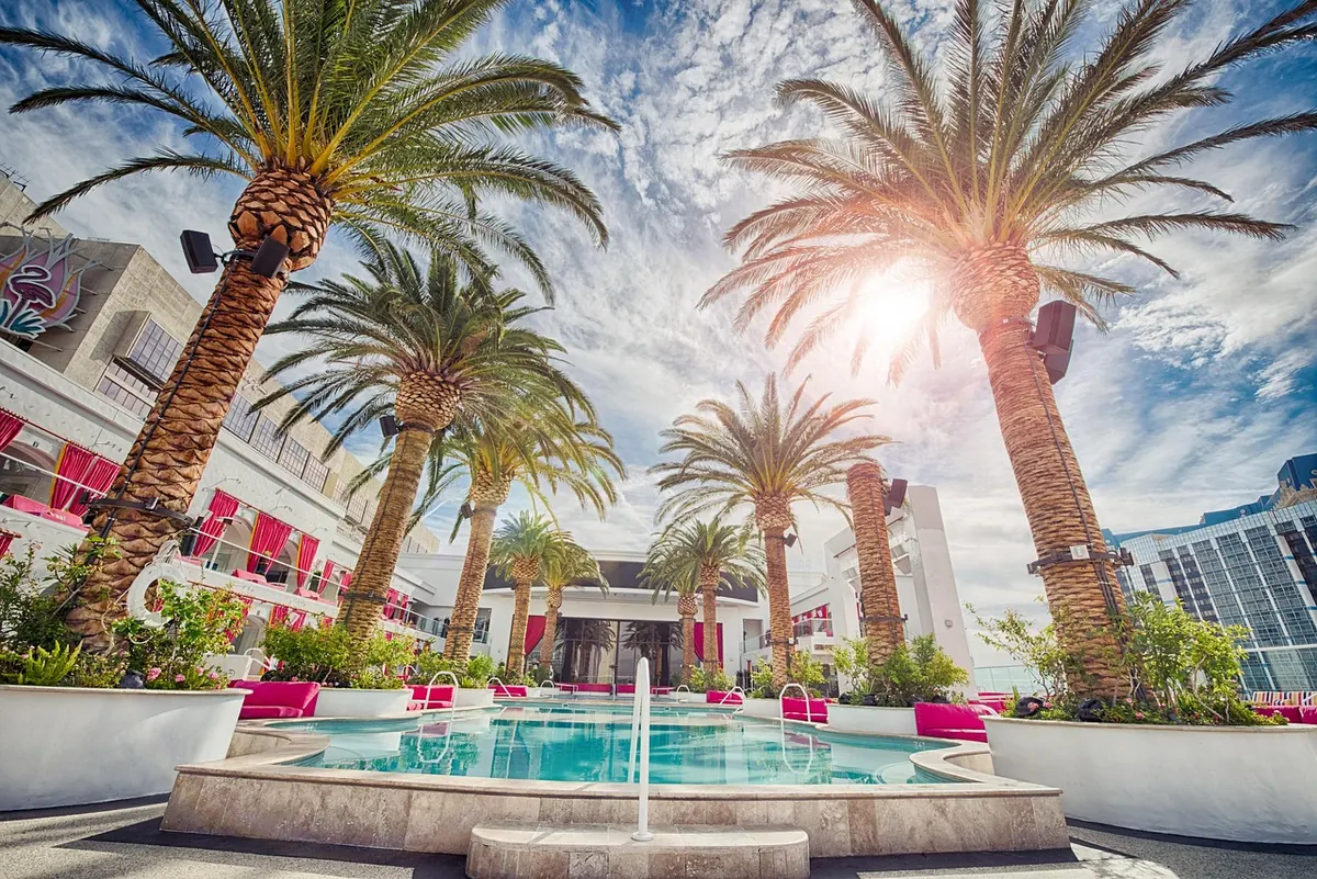 A resort pool with palm trees