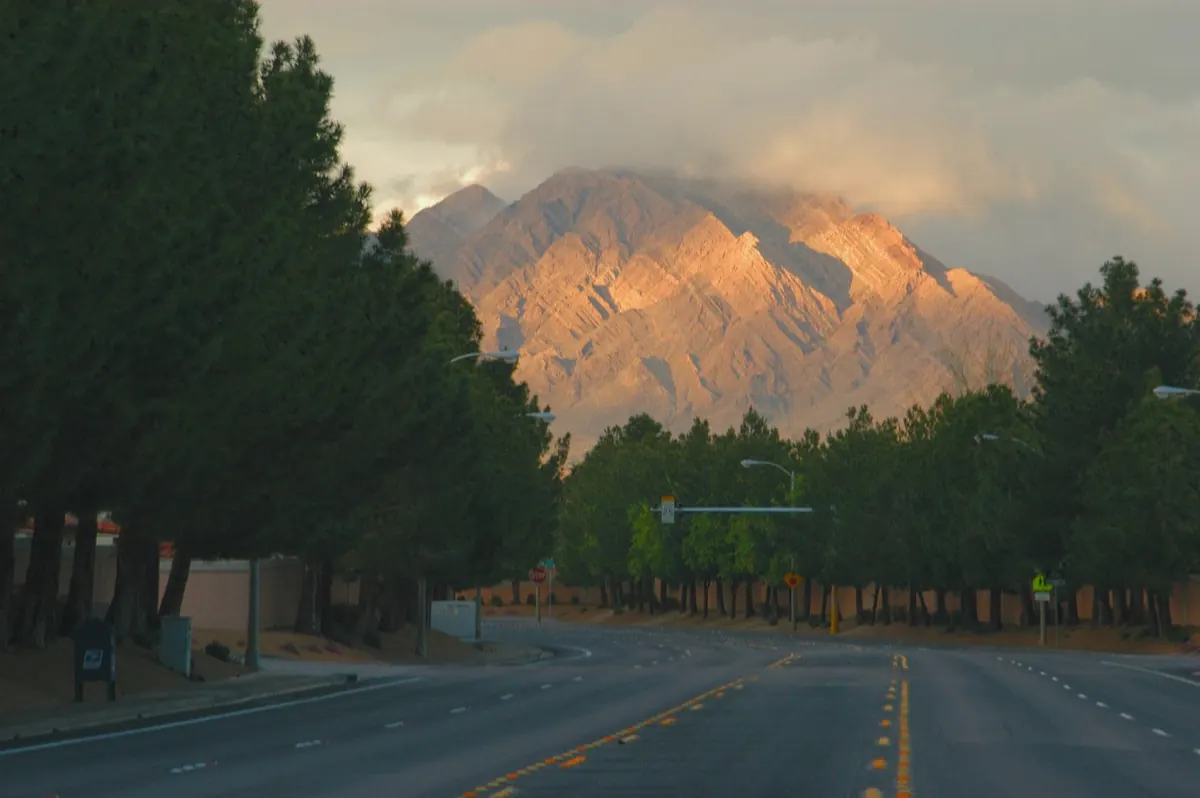 Mount Charleston rising above a forest road