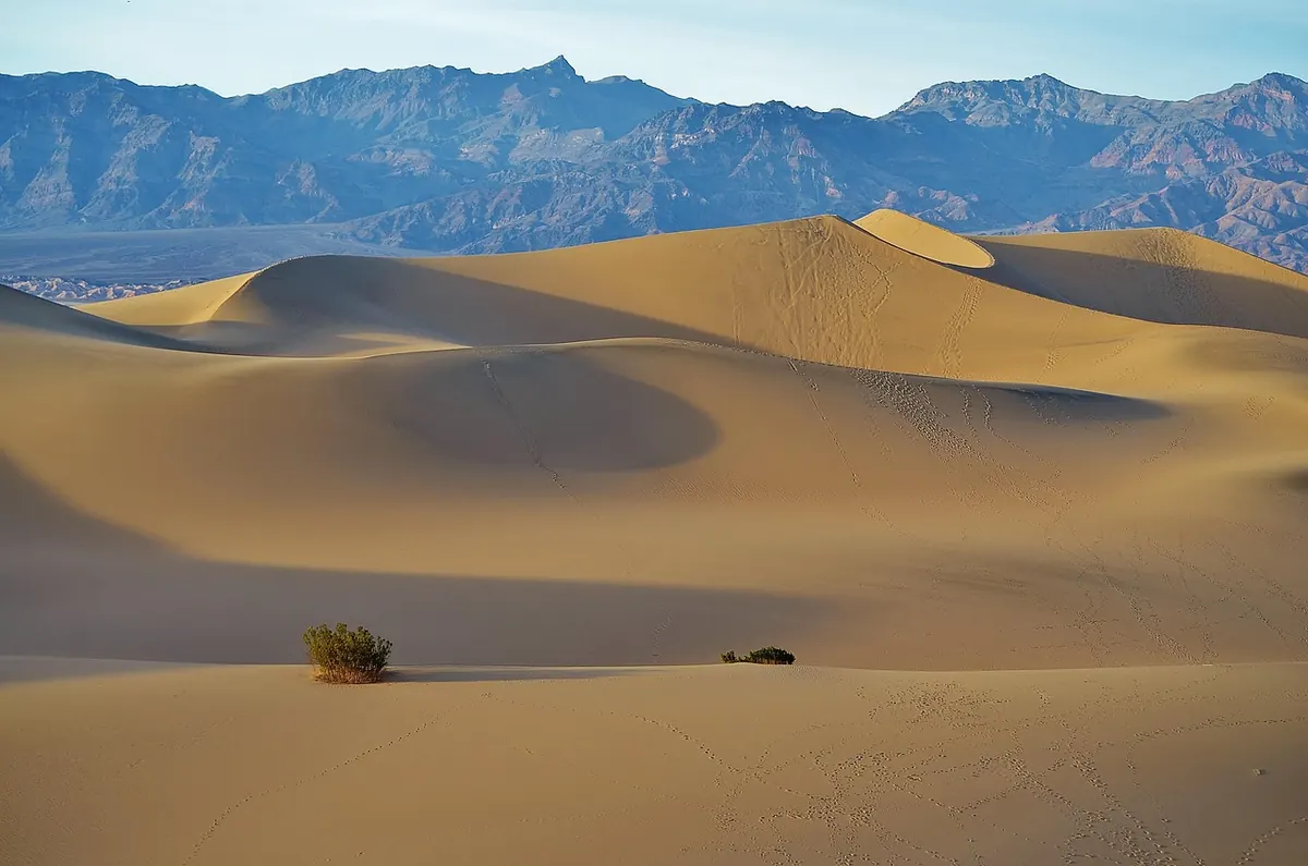 Mesquite Flat sand dunes in Death Valley