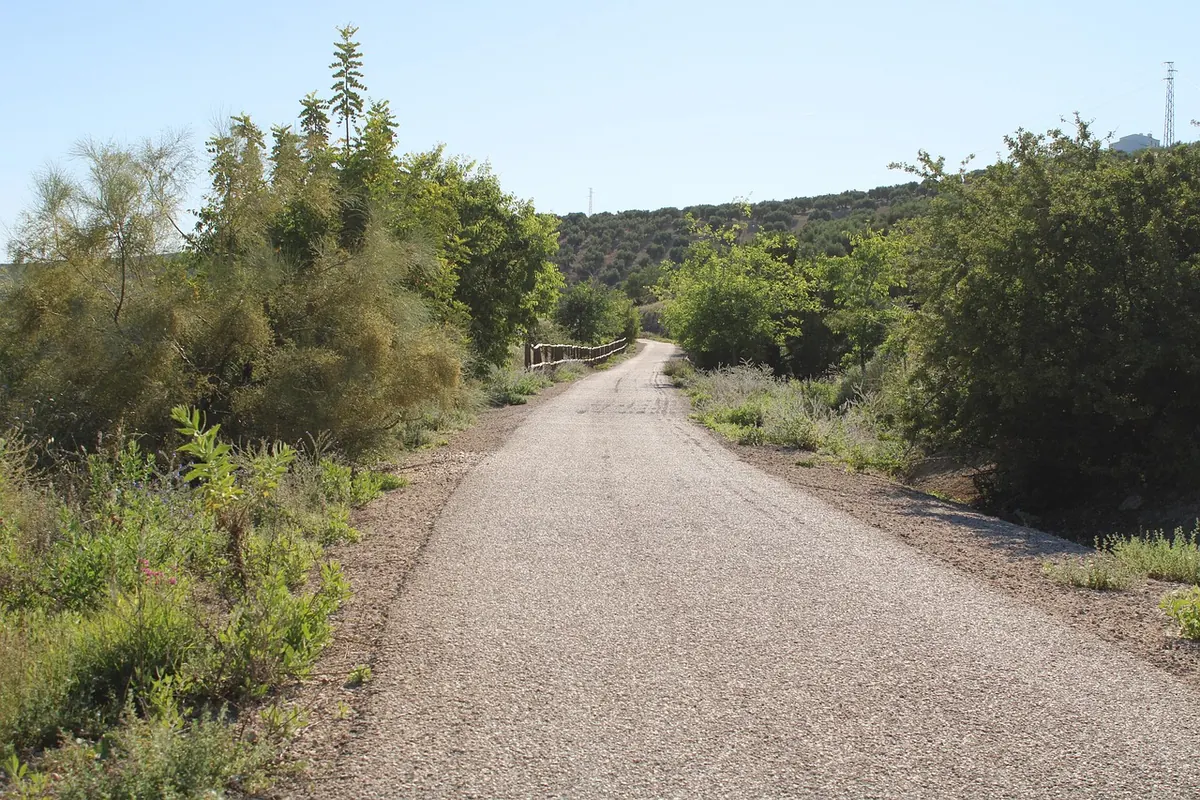 Gravel greenway path through countryside