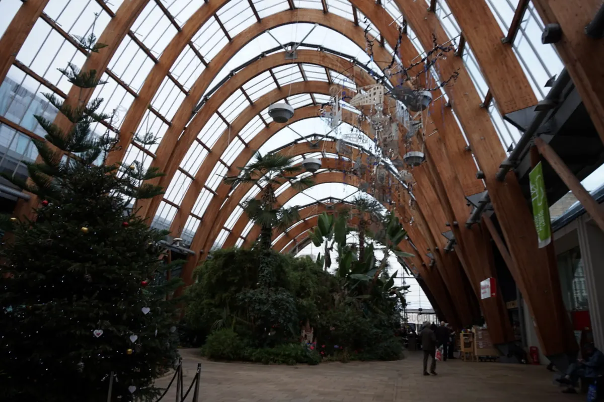 Inside the Winter Garden in Sheffield