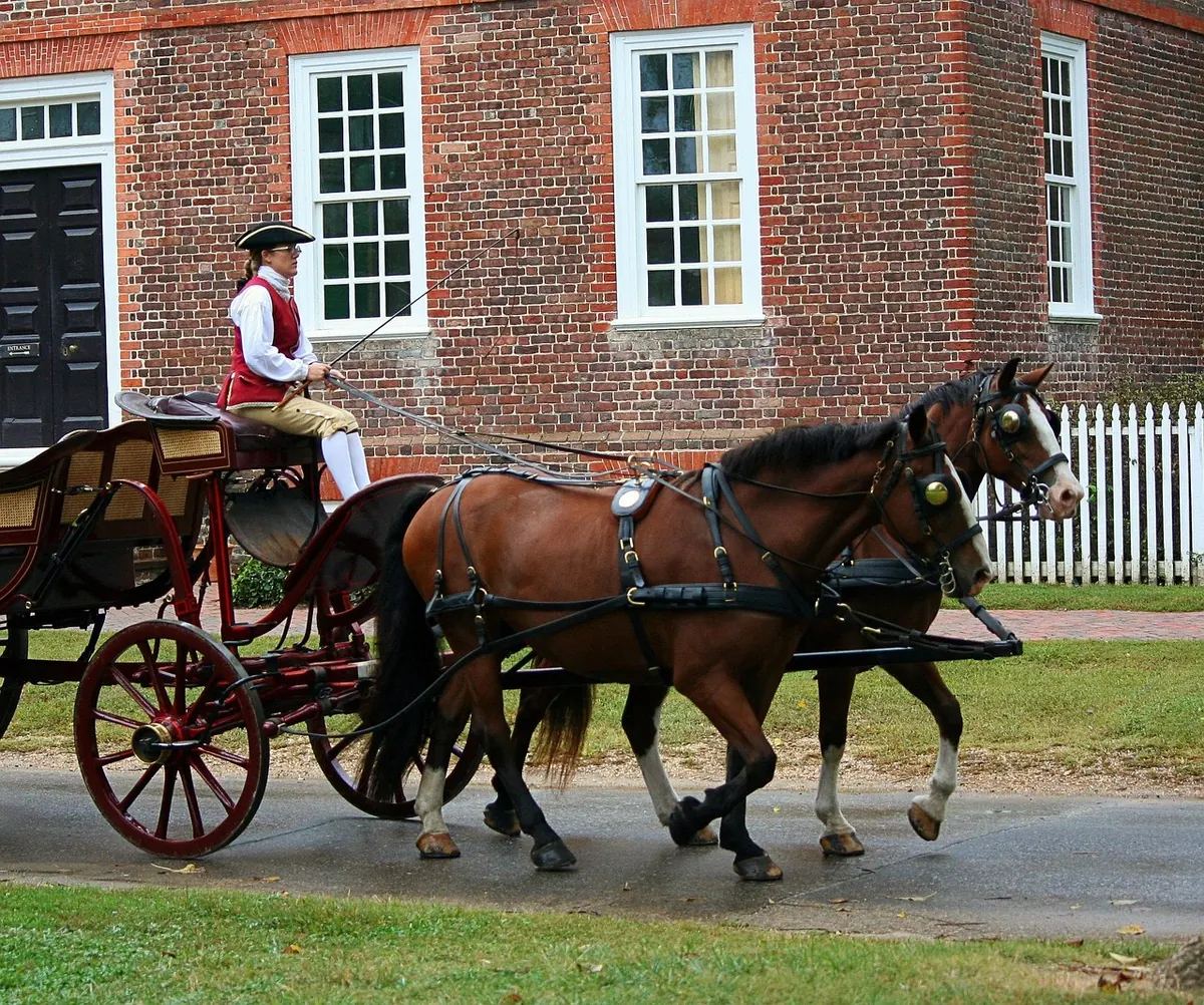 A horse-drawn carriage in Colonial Williamsburg