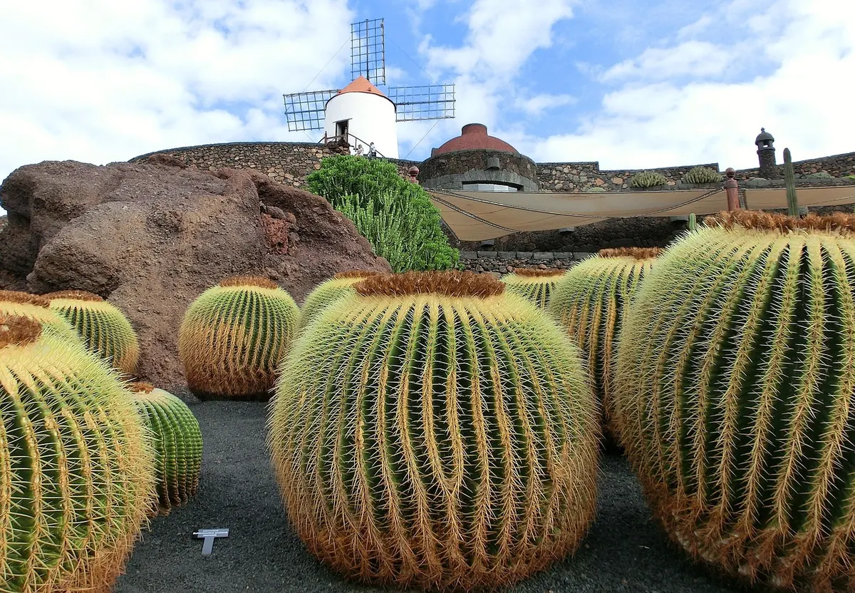 César Manrique's Cactus Garden in Guatiza