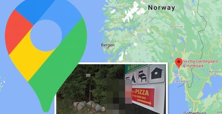 Google Maps Street View: Half-naked man spotted in Norwegian forest – what’s he up to?