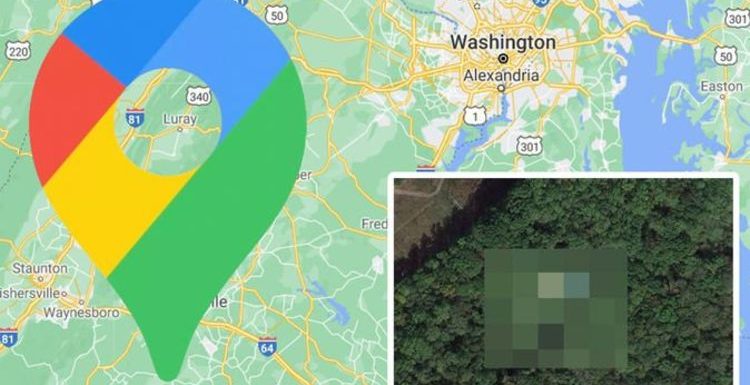 Google Maps: Mysterious plane ‘crash’ spotted among woods in USA in ‘weird’ photo