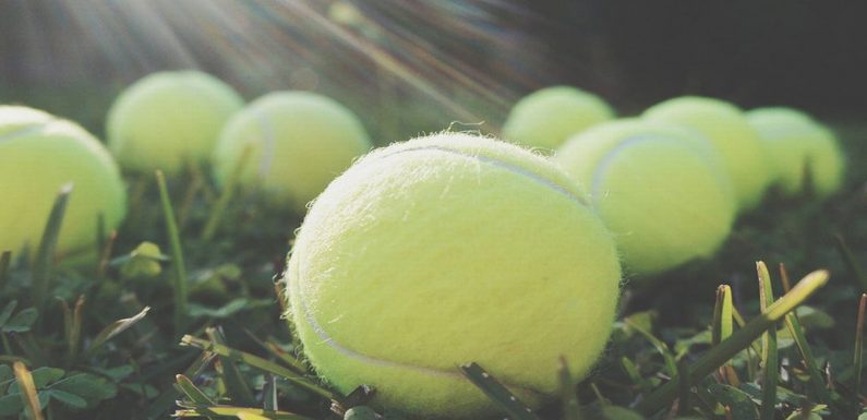 This is why you should always take a tennis ball on your flight