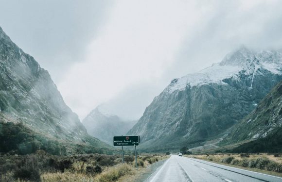 Go NZ: Five classic Kiwi road trips for summer