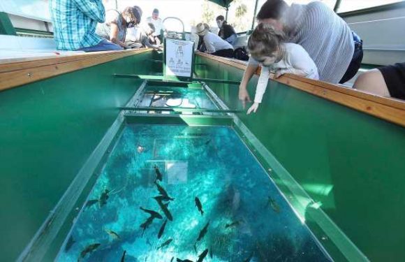 ‘They won’t have to separate from … family’: Florida attraction to get glass-bottom boat for wheelchairs