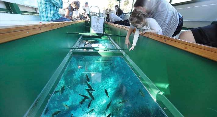 ‘They won’t have to separate from … family’: Florida attraction to get glass-bottom boat for wheelchairs