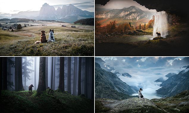 Heartwarming snaps show dogs in Europe's most stunning landscapes