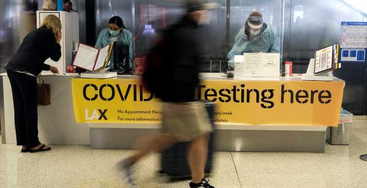 Requiring a COVID Vaccine for Travel Is Discriminatory, Tourism Group Says