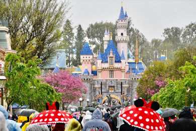 What Will a Million Distraught Disneyland Superfans Do Now That the Annual Pass Is Dead?