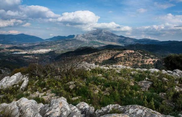 Spain Is Getting a New National Park — and It's Home to Incredible Wildlife, Hiking, Kayaking, and More