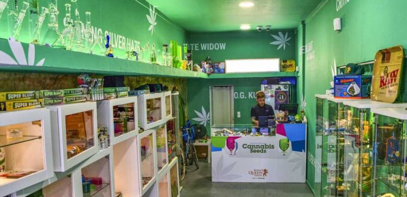 After Amsterdam’s Tourist Weed Ban, Will This Be the New Cannabis Capital of Europe?