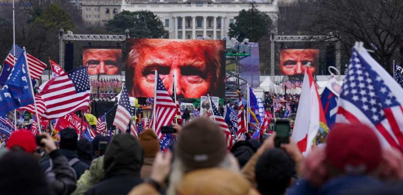 Pro-Trump rioters should be banned from flights, says union