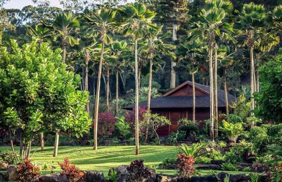 This Hawaiian Wellness Retreat Is Offering 30-day Extended Stays for Those Who Need a Reset