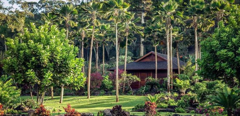 This Hawaiian Wellness Retreat Is Offering 30-day Extended Stays for Those Who Need a Reset