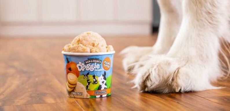 Ben & Jerry's Releases Ice Cream for Dogs