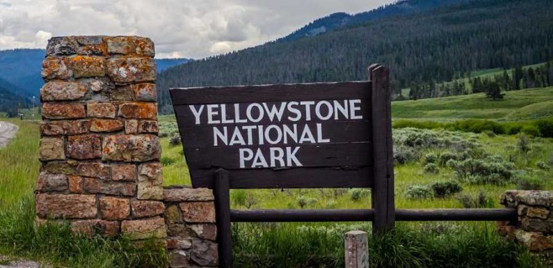 Man Searching for Treasure Faces 12 Years in Prison for Digging Up Graves at Yellowstone