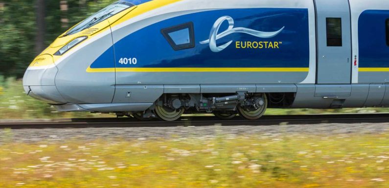 Expect ‘arm-wrestling’ between London and Paris to rescue Eurostar, says top economist