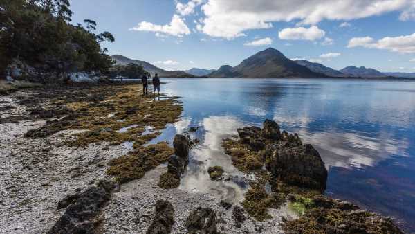 Tasmania ready to welcome first direct NZ flights for 20 years