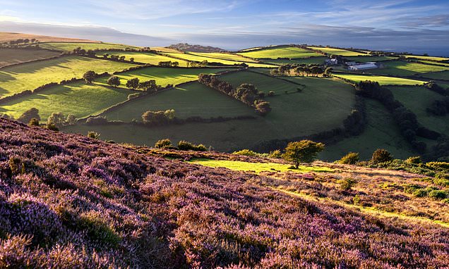 Exploring a lyrical stretch of Devon's coast frequented by Wordsworth