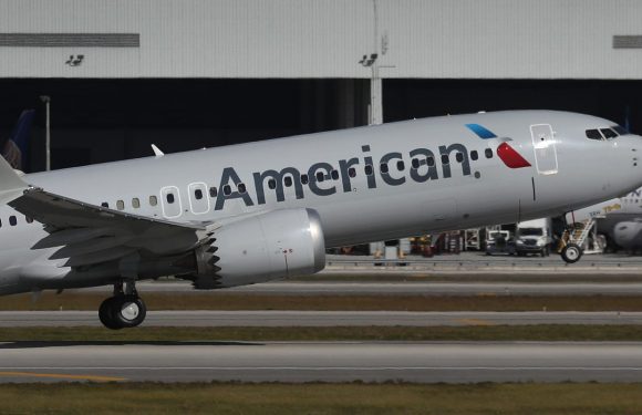 American Airlines flight diverted after ‘disturbing and unacceptable’ passenger fight over racial slur