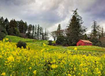 The 12 Most Charming Small Towns in California