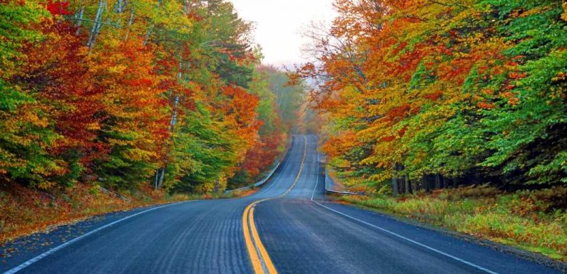 Your Guide to a Kancamagus Highway Road Trip
