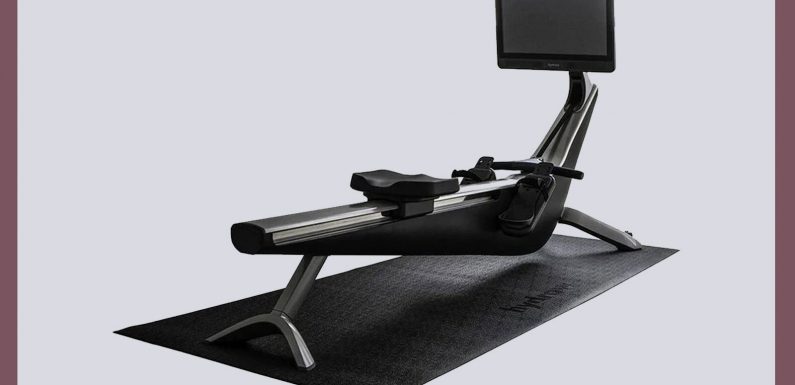 This Sleek Rowing Machine Takes Me to the Places I Can’t Travel to Right Now